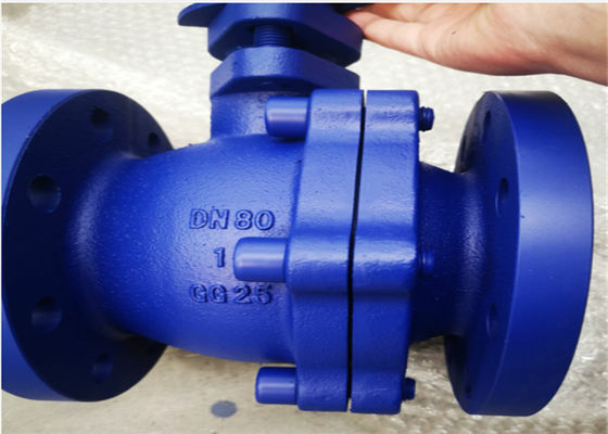 Ss 201 Floating Check Valve For Cutting Off Water Pipes Iron Flange