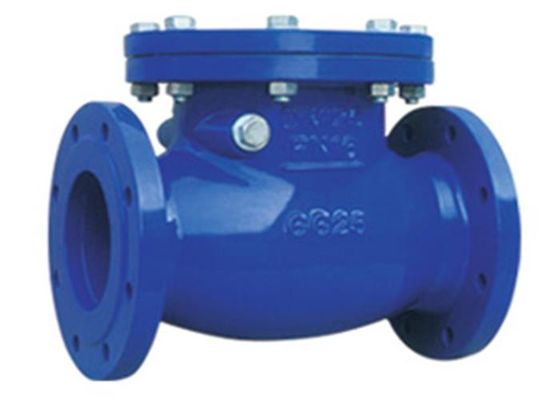 DIN GG25 Grey Iron Flanged Swing Check Valve PN16 Medium Water Pressure