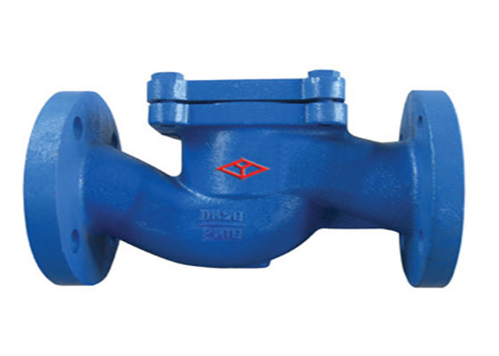 Cast Iron Leakproof Lift Check Valve For Oil Water Gas Anti Oxidation