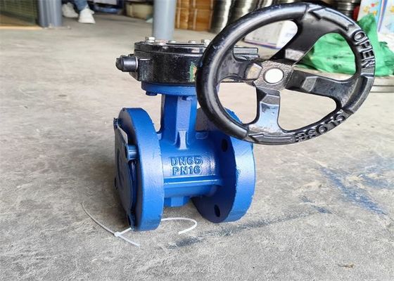 1mpa Size 80mm Flanged Butterfly Valve Water Medium