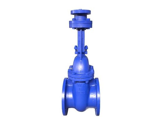 DN50 Flanged Gate Valve Cast Iron 1.0 Mpa Motorized Cuniform