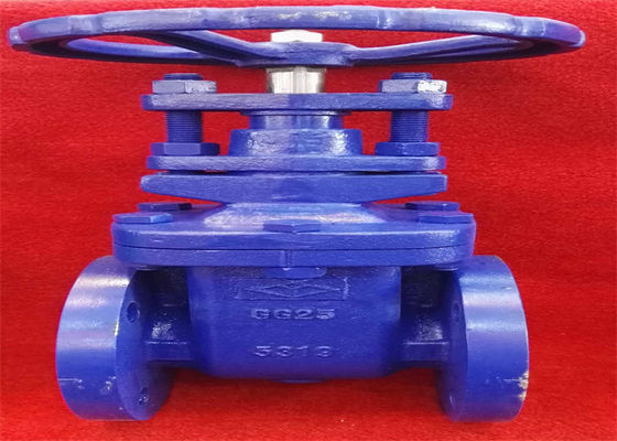 Din F4 6 Inch Flanged Gate Valve Non Rising Stem Brass Seal Iron Disc Cast Iron Dn250